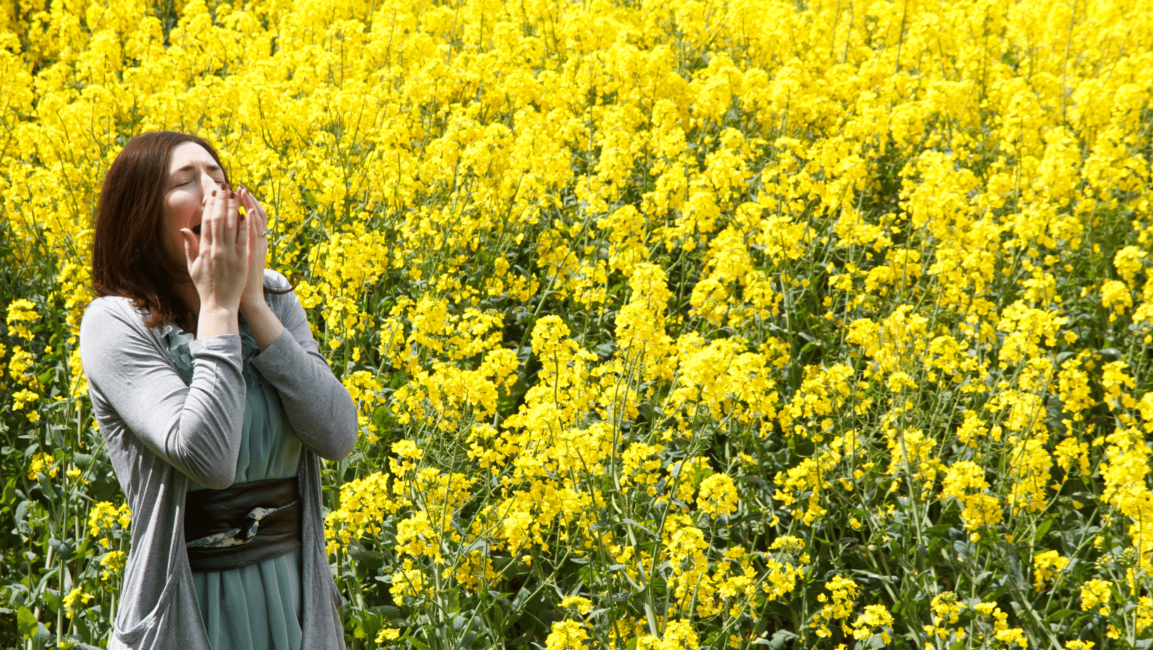 Allergy testing cannon hill